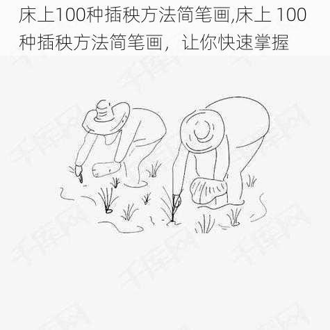 床上100种插秧方法简笔画,床上 100 种插秧方法简笔画，让你快速掌握