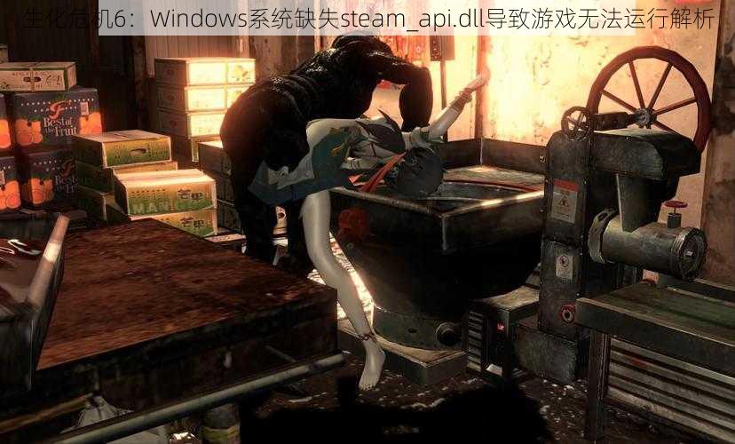 生化危机6：Windows系统缺失steam_api.dll导致游戏无法运行解析