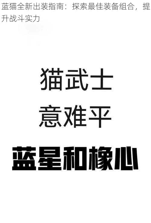 蓝猫全新出装指南：探索最佳装备组合，提升战斗实力