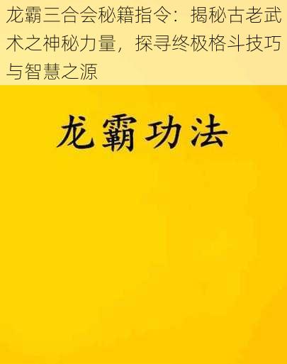 龙霸三合会秘籍指令：揭秘古老武术之神秘力量，探寻终极格斗技巧与智慧之源