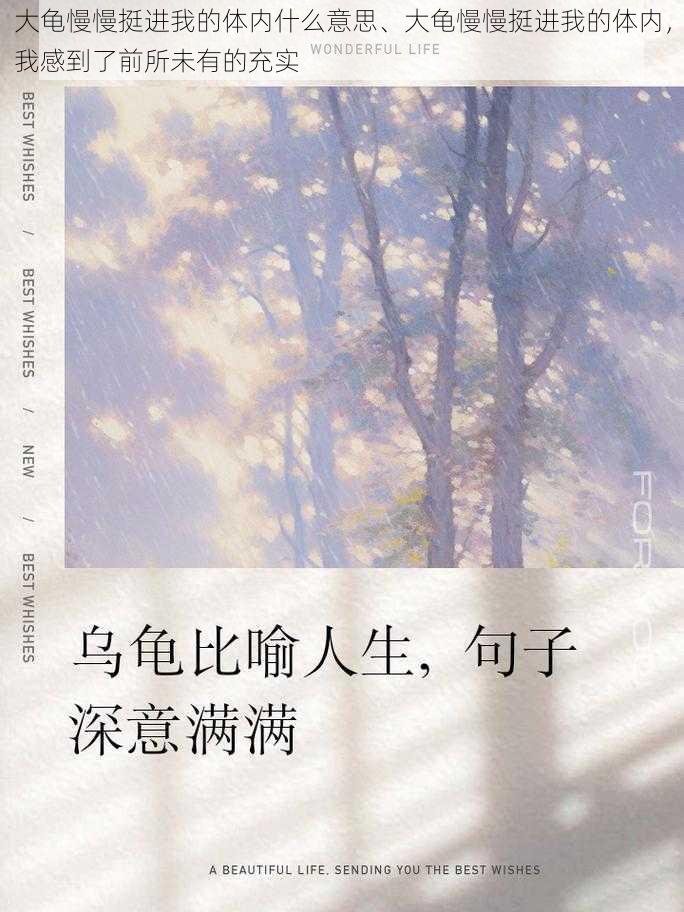 大龟慢慢挺进我的体内什么意思、大龟慢慢挺进我的体内，我感到了前所未有的充实