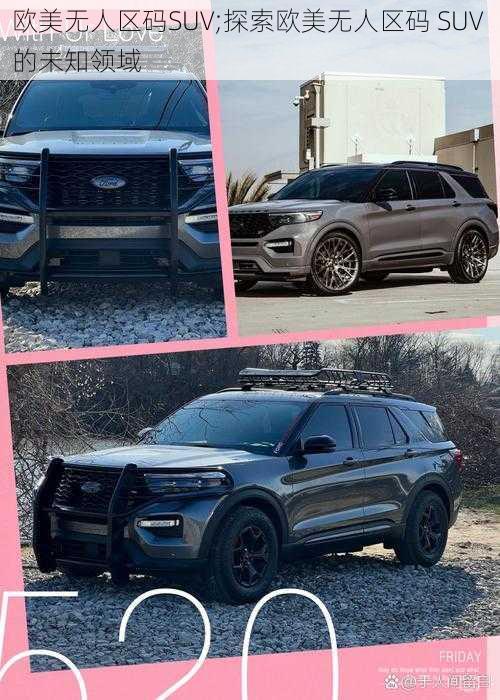 欧美无人区码SUV;探索欧美无人区码 SUV 的未知领域