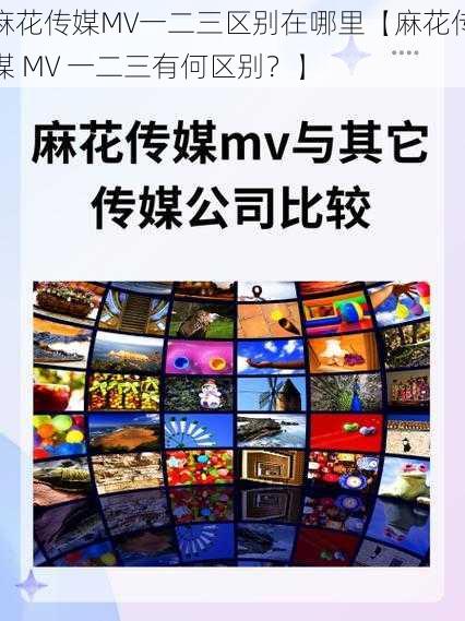 麻花传媒MV一二三区别在哪里【麻花传媒 MV 一二三有何区别？】