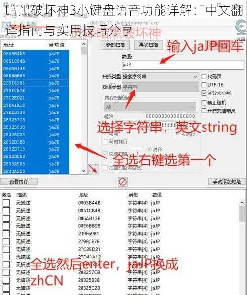 暗黑破坏神3小键盘语音功能详解：中文翻译指南与实用技巧分享