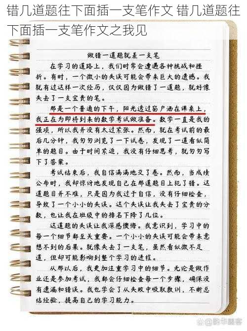 错几道题往下面插一支笔作文 错几道题往下面插一支笔作文之我见