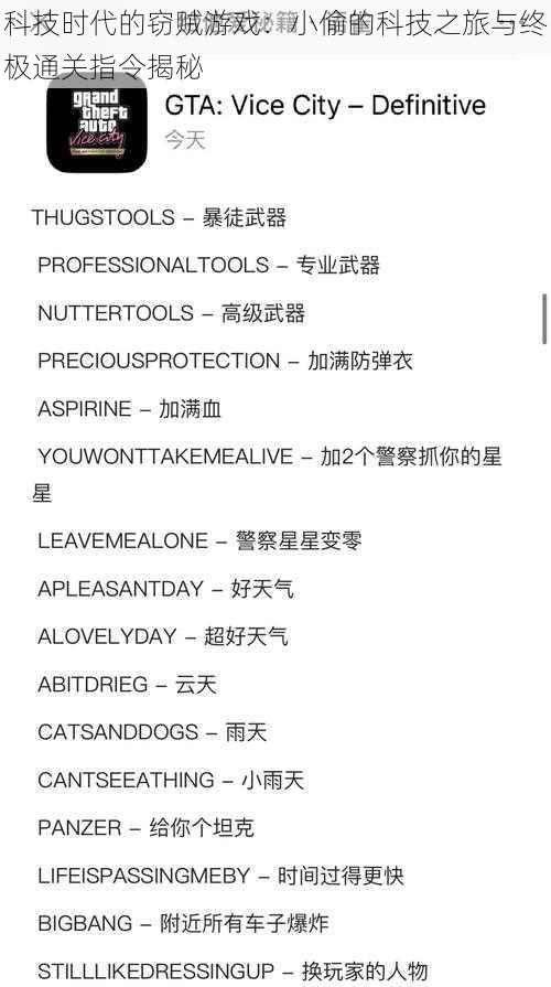 科技时代的窃贼游戏：小偷的科技之旅与终极通关指令揭秘
