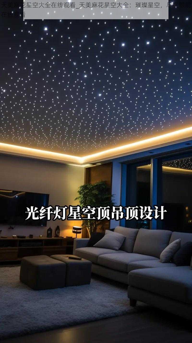 天美麻花星空大全在线观看_天美麻花星空大全：璀璨星空，尽在眼前在线观看