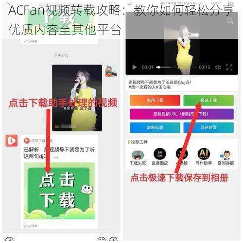 ACFan视频转载攻略：教你如何轻松分享优质内容至其他平台