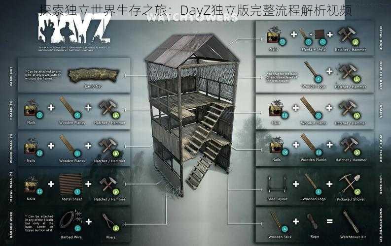 探索独立世界生存之旅：DayZ独立版完整流程解析视频