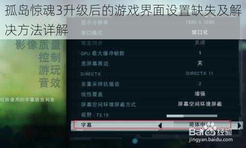 孤岛惊魂3升级后的游戏界面设置缺失及解决方法详解
