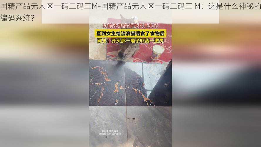 国精产品无人区一码二码三M-国精产品无人区一码二码三 M：这是什么神秘的编码系统？