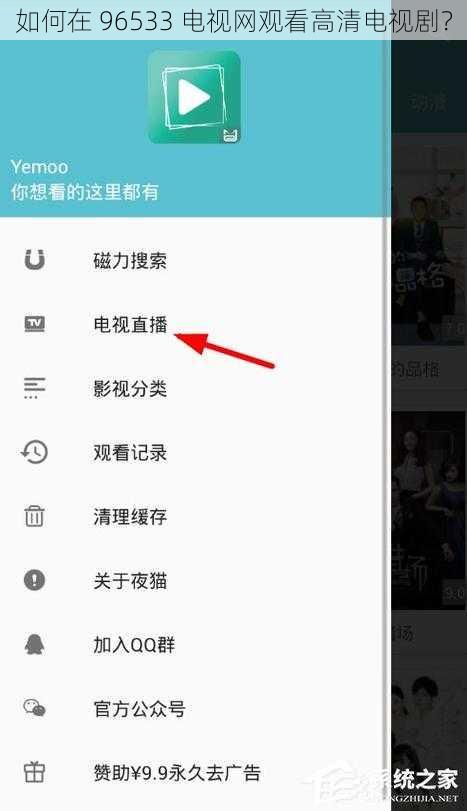 如何在 96533 电视网观看高清电视剧？