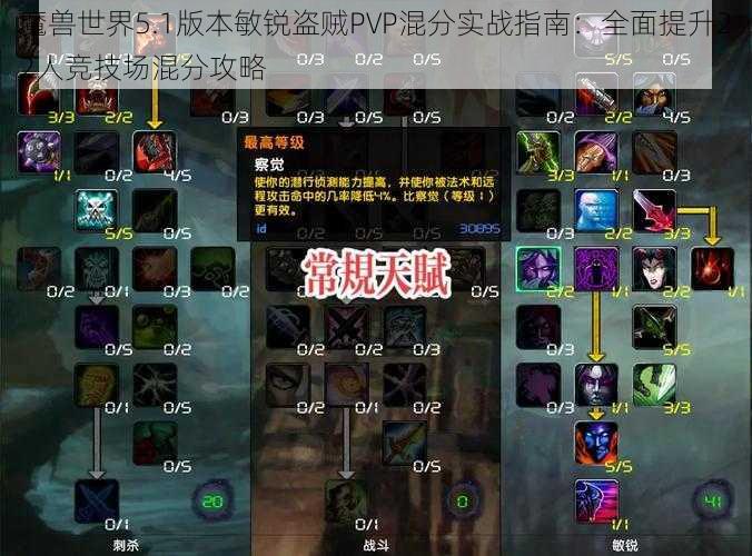 魔兽世界5.1版本敏锐盗贼PVP混分实战指南：全面提升22人竞技场混分攻略