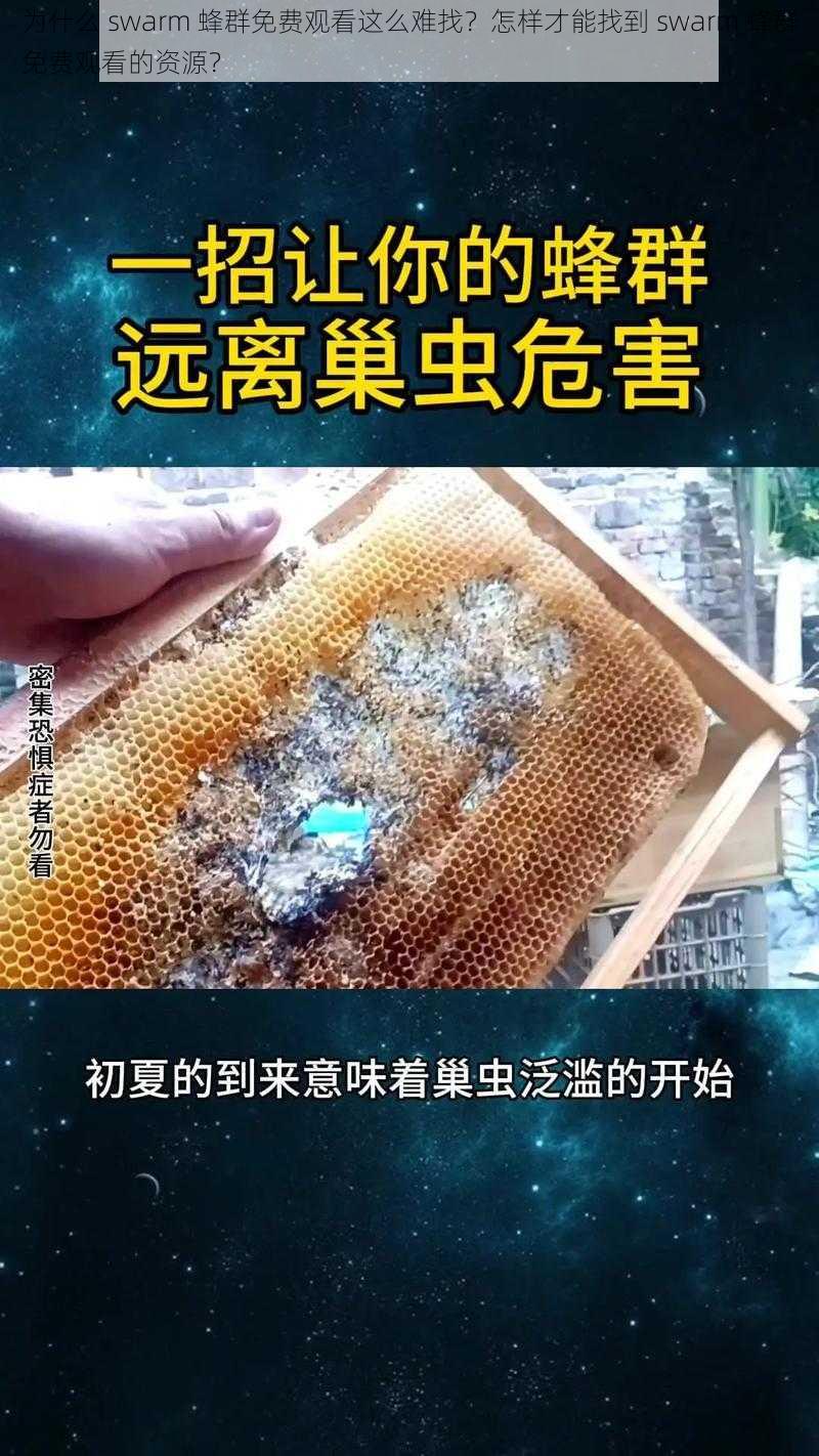 为什么 swarm 蜂群免费观看这么难找？怎样才能找到 swarm 蜂群免费观看的资源？