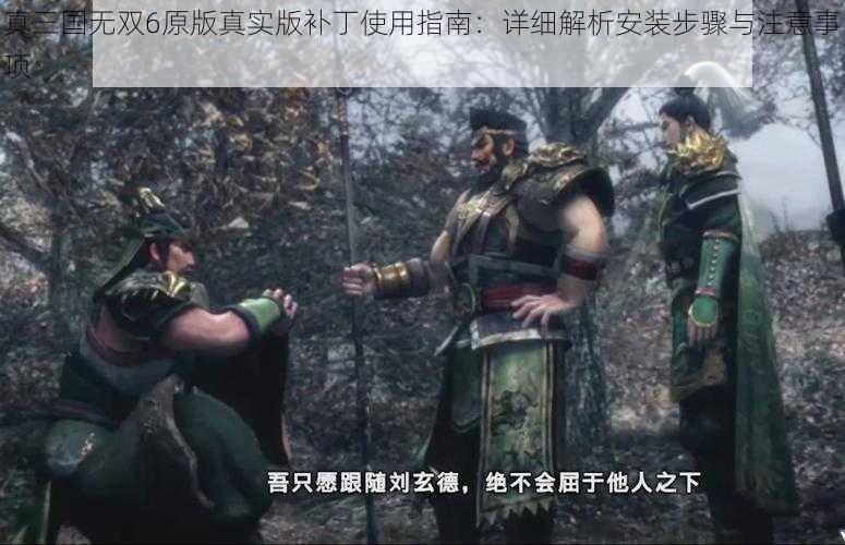 真三国无双6原版真实版补丁使用指南：详细解析安装步骤与注意事项