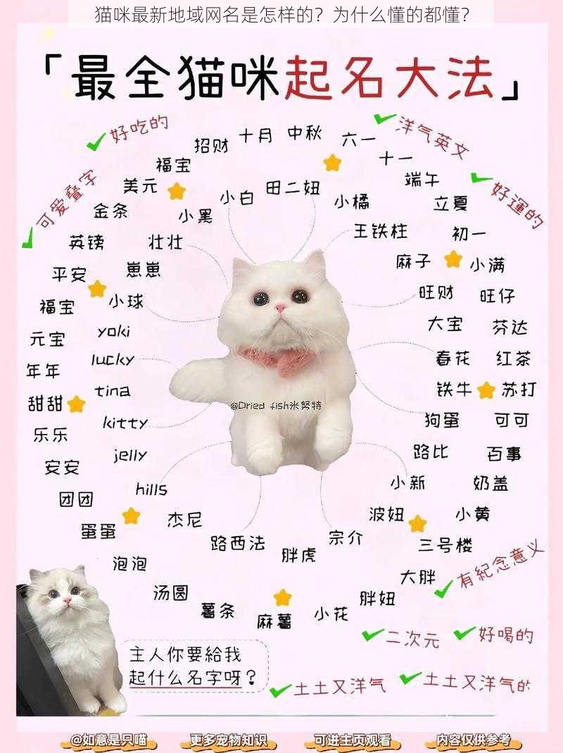 猫咪最新地域网名是怎样的？为什么懂的都懂？