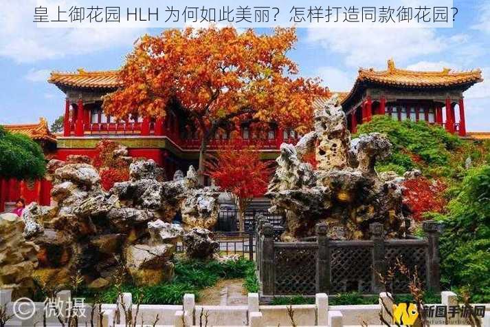 皇上御花园 HLH 为何如此美丽？怎样打造同款御花园？