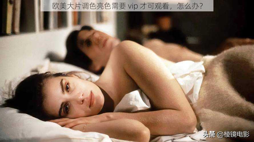 欧美大片调色亮色需要 vip 才可观看，怎么办？