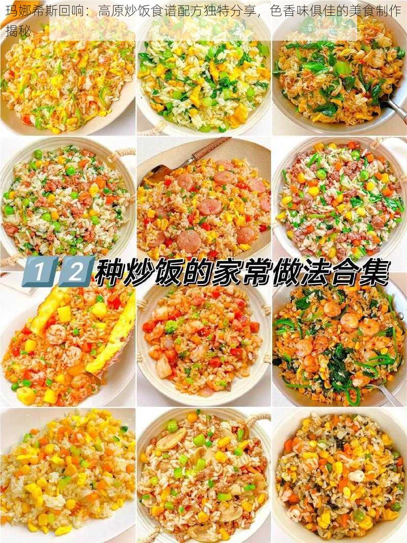 玛娜希斯回响：高原炒饭食谱配方独特分享，色香味俱佳的美食制作揭秘