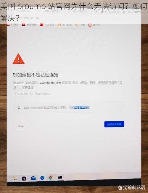 美国 proumb 站官网为什么无法访问？如何解决？