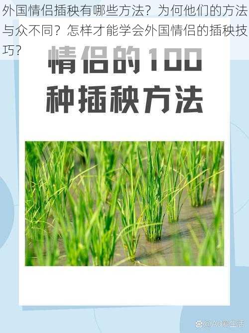 外国情侣插秧有哪些方法？为何他们的方法与众不同？怎样才能学会外国情侣的插秧技巧？