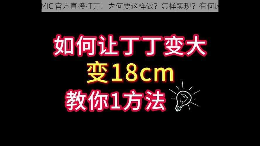 18CMIC 官方直接打开：为何要这样做？怎样实现？有何风险？