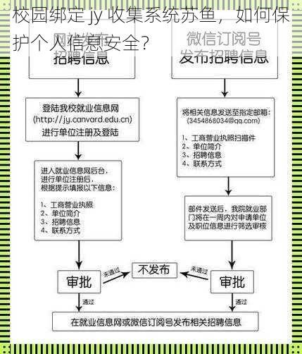 校园绑定 jy 收集系统苏鱼，如何保护个人信息安全？