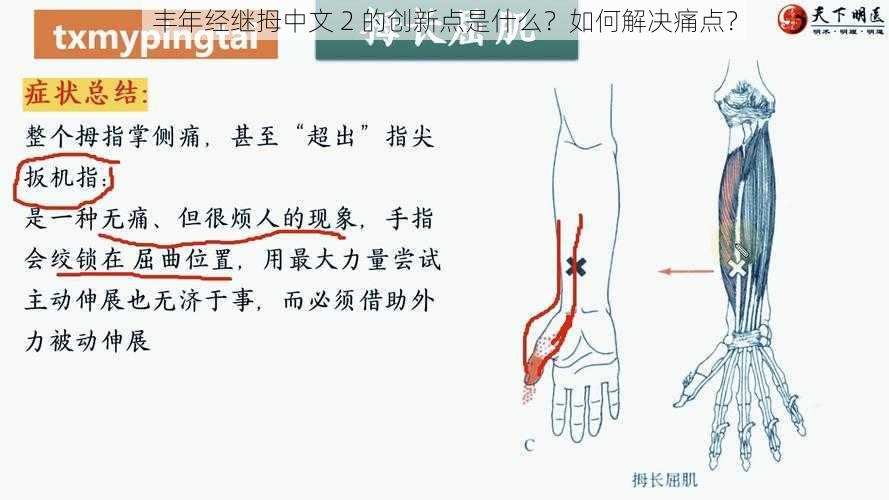 丰年经继拇中文 2 的创新点是什么？如何解决痛点？