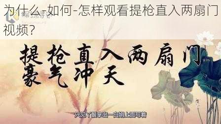 为什么-如何-怎样观看提枪直入两扇门视频？