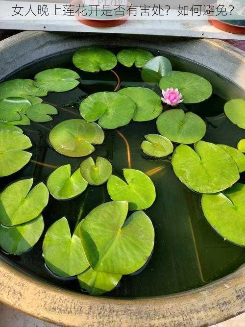 女人晚上莲花开是否有害处？如何避免？