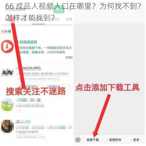 66 成品人视频入口在哪里？为何找不到？怎样才能找到？