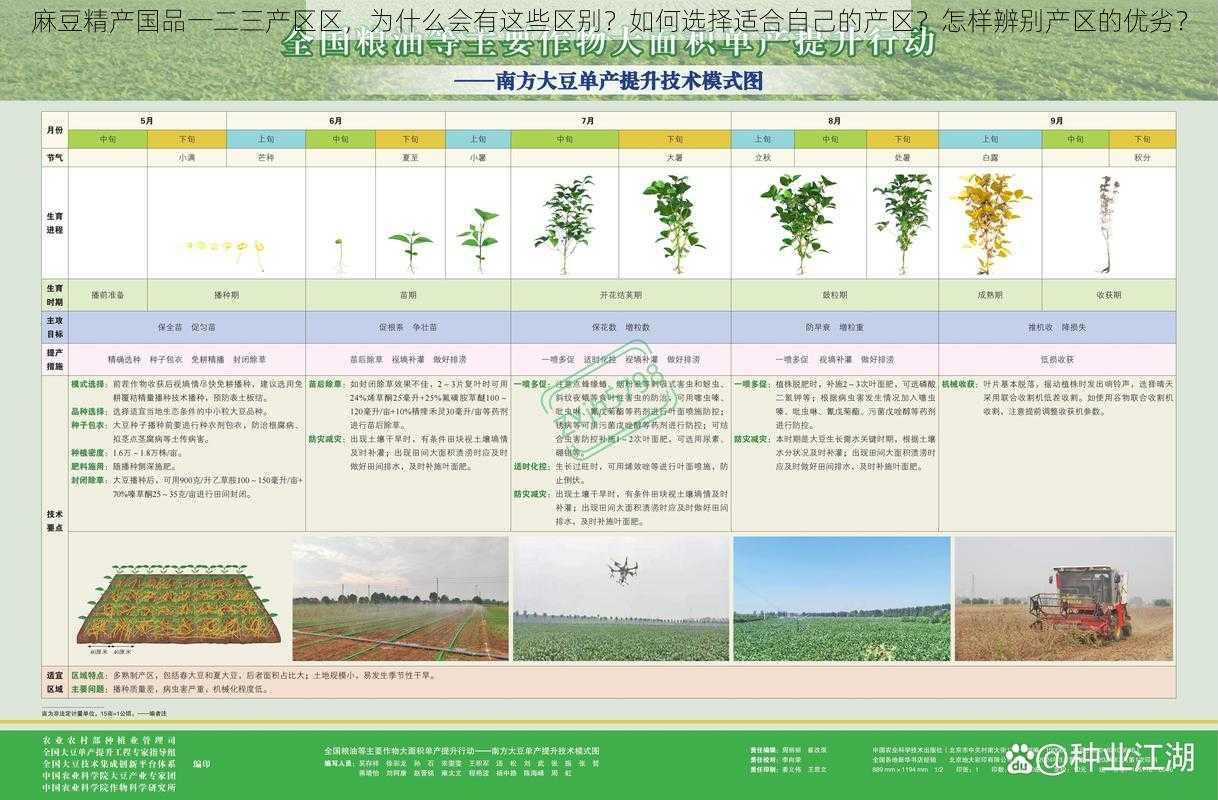 麻豆精产国品一二三产区区，为什么会有这些区别？如何选择适合自己的产区？怎样辨别产区的优劣？