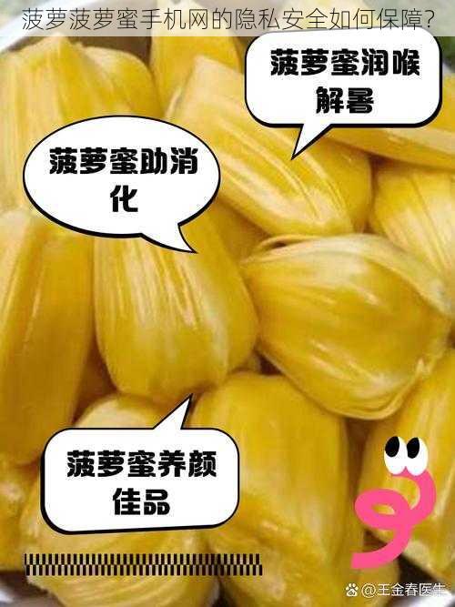 菠萝菠萝蜜手机网的隐私安全如何保障？