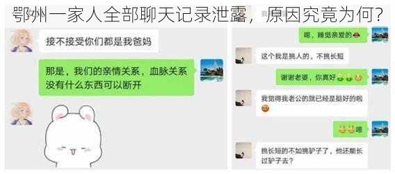 鄂州一家人全部聊天记录泄露，原因究竟为何？