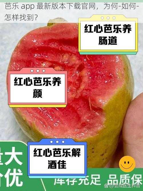 芭乐 app 最新版本下载官网，为何-如何-怎样找到？