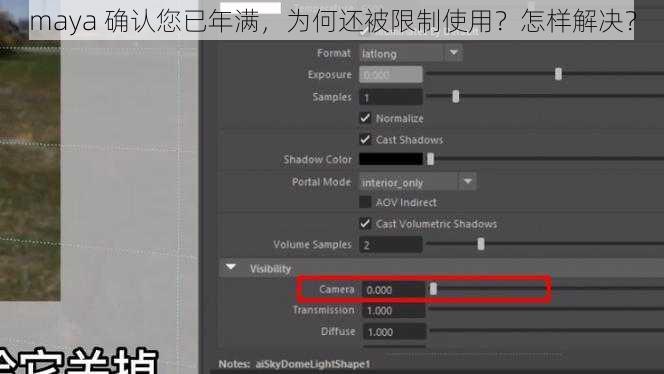 maya 确认您已年满，为何还被限制使用？怎样解决？