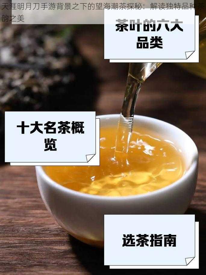 天涯明月刀手游背景之下的望海潮茶探秘：解读独特品种茶韵之美