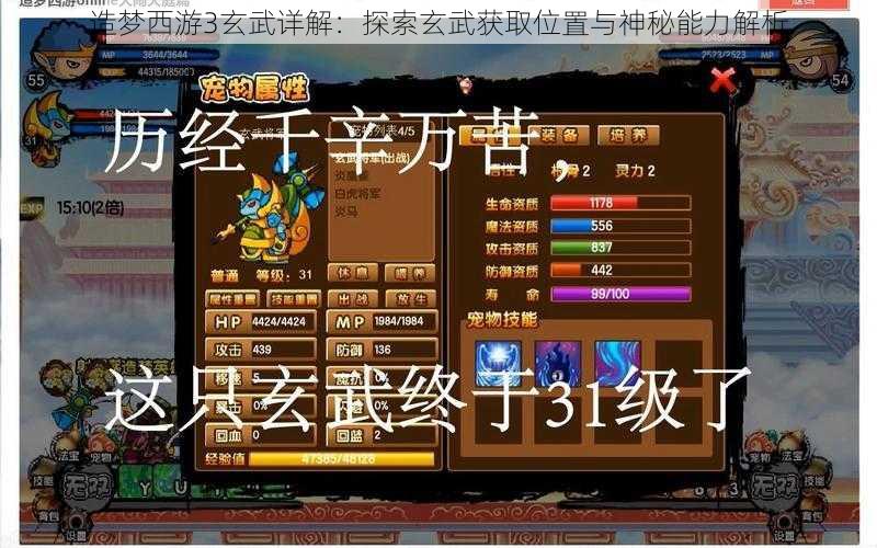 造梦西游3玄武详解：探索玄武获取位置与神秘能力解析